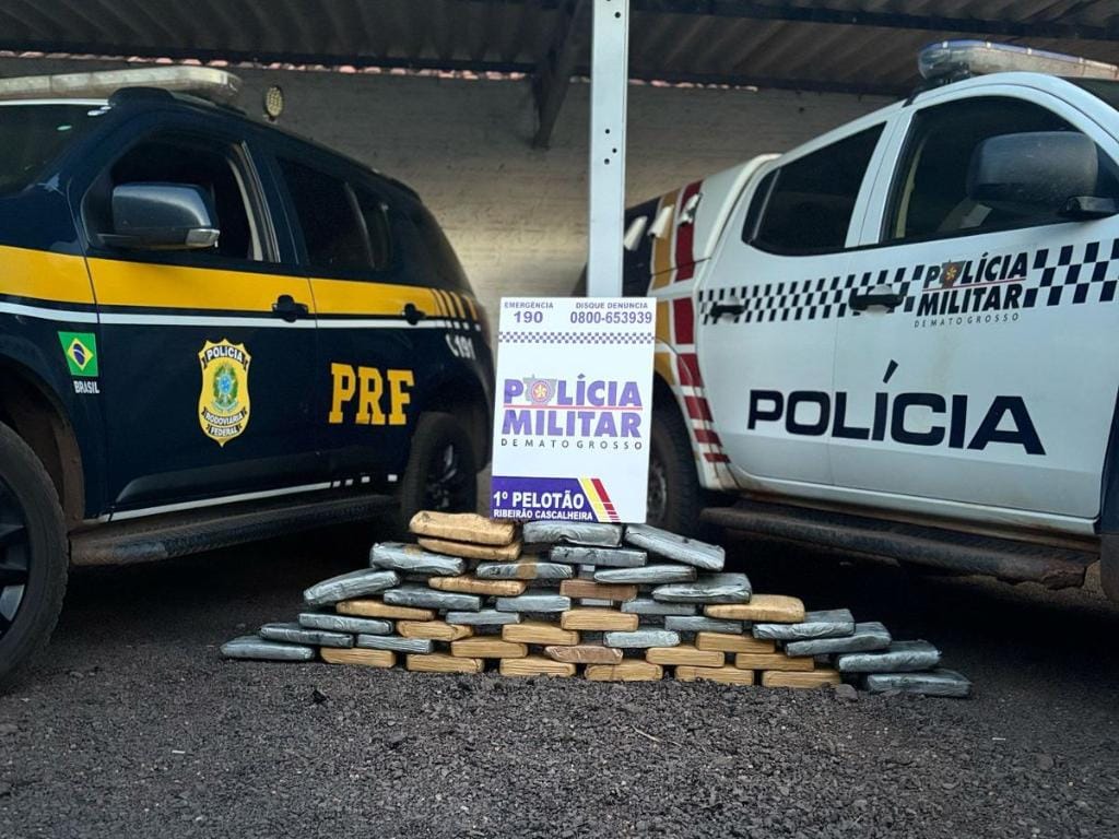 PM apreende 115 quilos de drogas e prende 8 pessoas por tráfico de drogas em MT