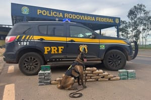 Justiça de Mato Grosso solta caminhoneiro flagrado com 45 quilos de drogas; MP recorre