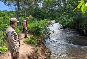 Criança indígena desaparece em área de mata após sair para ir à casa da avó