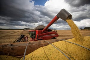 Criminosos usam empresa agrícola e aplicam golpes de R$ 1,2 milhão em produtores de soja em MT